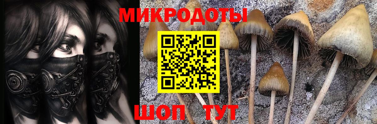 Галлюциногенные грибы ЛСД  Галлюциногенные грибы прущие грибы  Вход с VPN  купить наркоту  Сатка 