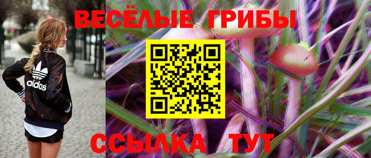 Галлюциногенные грибы Psilocybe Сатка